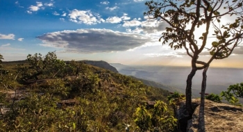 Desmatamento em Goiás tem queda de 71,9%